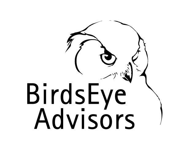 Birds Eye Advisors